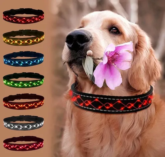 Individuell bestickte LED-Haustierhalsbänder. Verstellbares LED-Hundehalsband