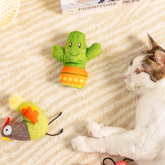Rena Pet Neues Design, farbenfrohes Katzen-Plüschspielzeug, sortiert mit Katzenminze