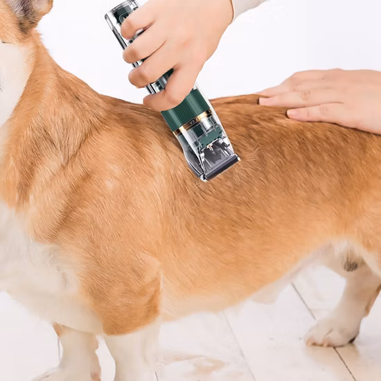 Haustierzubehör ABS-Hundehaarbürstenentferner Ipx7 Wasserdichte Haustierpflegebürste