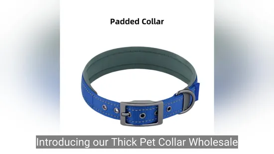 Nylon-Produkte für kleine Hunde, Heimtierbedarf, Haustierhalsband