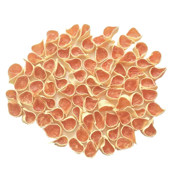 Hochwertiger Hundeproduktlieferant für die Zahnreinigung